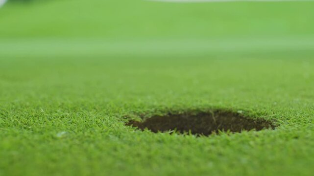 Close up 4K video of a golf ball rolling into a hole on a lush green putting green, followed by a golfer using a putter club and reaching into the cup to retrieve the ball.