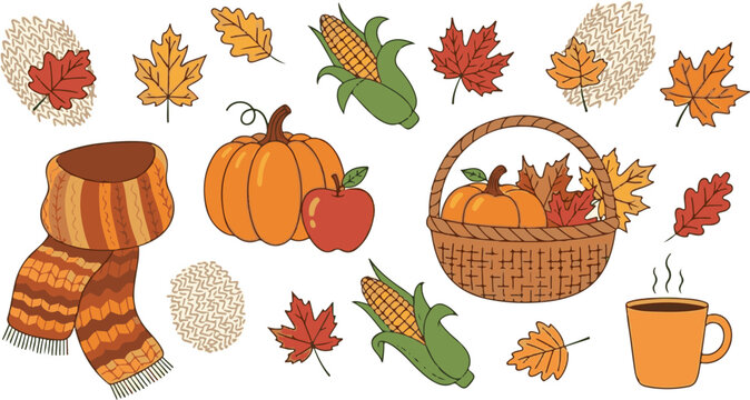 Autumn fall season objects with leaves pumpkins and scarf on white background