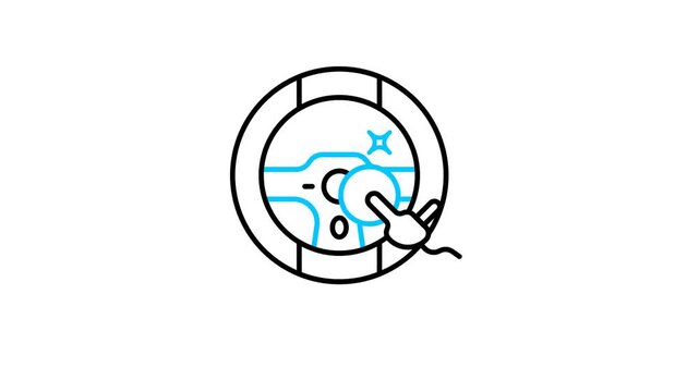 Car Stearing Polish Animated Video Icon
