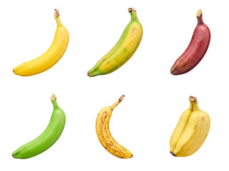 Diverse collection of bananas showcasing various colors, ripeness stages, and varieties. © Sharon