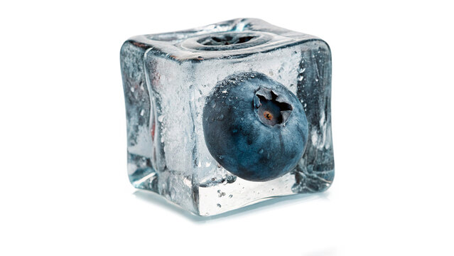 Single fresh blueberry berry frozen inside a clear solid ice cube isolated on transparent background