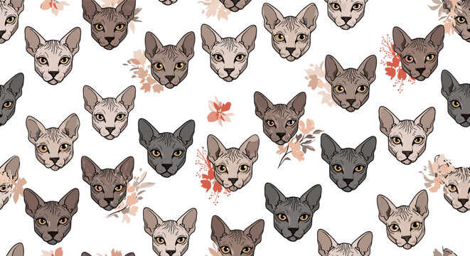 Unique seamless pattern design featuring different colored heads of hairless Sphinx cats with subtle floral elements on a white background.