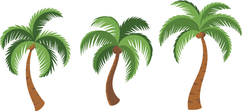Tropical palm tree collection, exotic island coconut palms vector illustration set for summer travel design