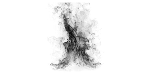 Fototapeta premium Abstract Ink Splatter Explosion in Monochrome High Contrast Black and White Art