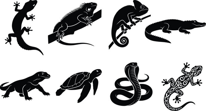 Reptiles amphibians silhouettes gecko iguana chameleon crocodile monitor lizard turtle cobra tribal design illustration vector collection wildlife