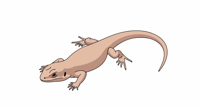 A cartoon illustration of a light brown lizard with a long tail, posed on a white background