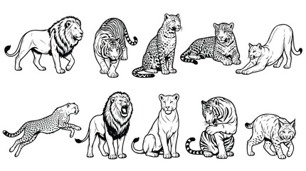 Vintage wild cat illustrations, set of 10 hand drawn big cats, black and white lion and tiger sketches, safari animal vector graphics © Saad