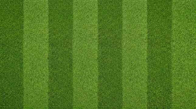 Football Soccer Background with Green Grass Field Close Up Texture