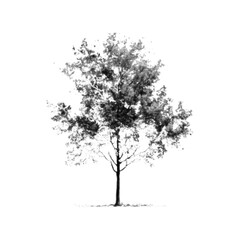 Fototapeta premium Deciduous tree in halftone style. Minimal monochrome nature illustration representing growth, ecology, sustainability, environment and natural landscape.