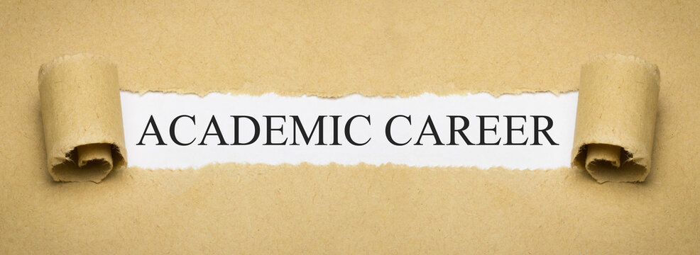 Academic Career