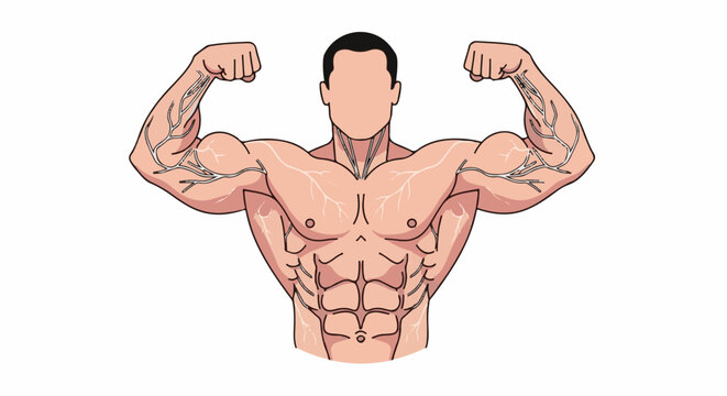 Muscular torso with bulging biceps and defined abdominal muscles
