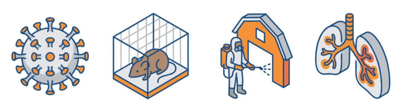 Hantavirus respiratory syndrome vector isometric icons with pathogen cell caged laboratory rat hazmat barn cleaning and infected lungs