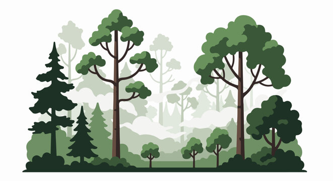 Stylized forest with various trees and atmospheric mist