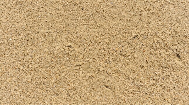 Beach sand background texture &ndash; top view of flat sand surface. Brightly lit and sunny, tileable texture background for packaging, print design, mockups and digital backdrops, clean top view or flat