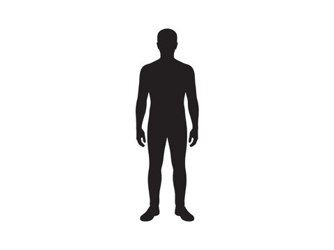 Full Body Male Silhouette Standing Front View on White Background