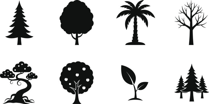 Tree silhouette icon set illustration, forest nature symbols collection, pine palm leaf trees, ecology environment design, landscape elements, botanical shapes, flat vector