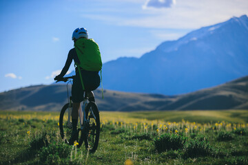 Fototapeta premium Mountain biking on flowering grassland mountains