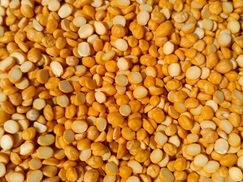 yellow split peas