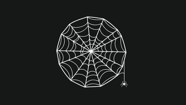 Detailed white spider web with a small spider hanging on a single silk thread against a solid dark gray background color.