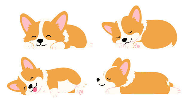 Cute sleeping corgi dog set in different poses vector illustration