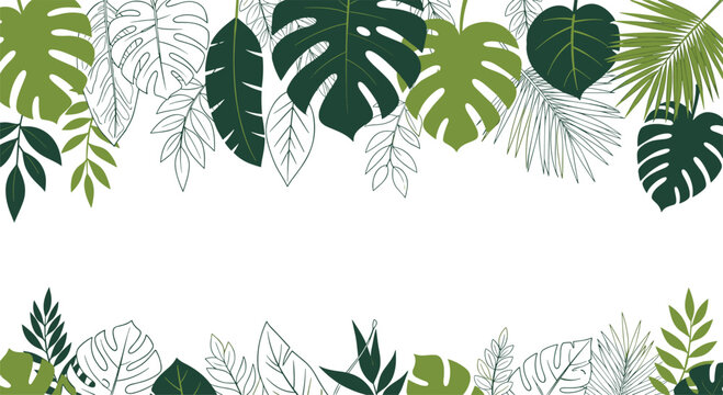 Lush tropical leaves border design featuring monstera and palm fronds for exotic and botanical nature backgrounds.