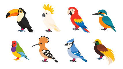 Set of colorful tropical and exotic birds in flat vector style © Alan