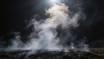 Fototapeta premium Rising vertical plume of smoke and steam occupying center of field, charred soil and backlight halo