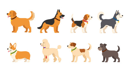 Set of different dog breeds in flat cartoon vector style © Alan