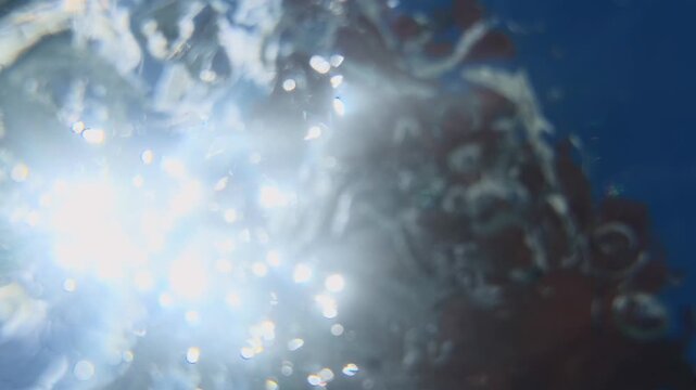 Adult Man Washing Hands in Outdoor Pool from Underwater View, Rubbing Palms Below Surface as Sunlit Water Bubbles, Ripples, Floating Particles and Reflections Distort Blue Sky and Garden Leaves