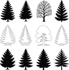 Fototapeta premium Timeless Evergreen Forest Silhouette Collection