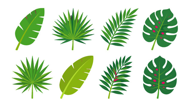 Set of tropical green leaves in flat vector style