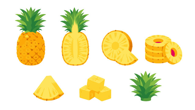 Set of pineapple whole fruit slices chunks and leaves vector