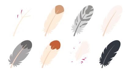 Set of eight stylized feather illustrations on white background © Alan