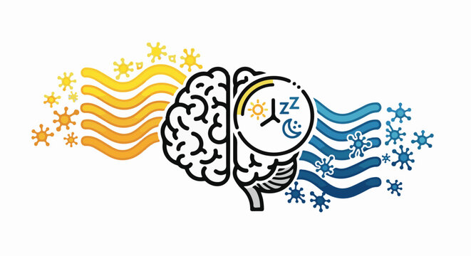 Brain divided, one side awake with sun, other sleeping with moon