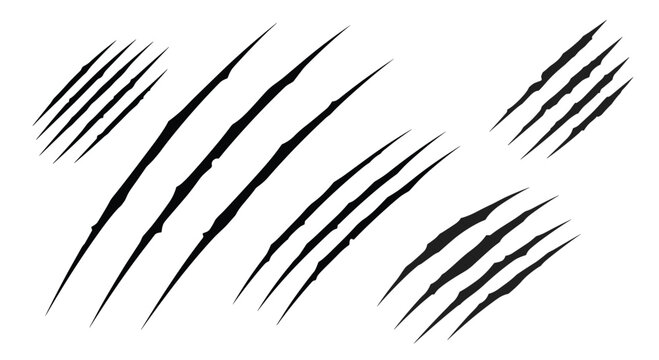 Set of sharp black animal scratch marks on a white background depicting powerful claw strikes from a predatory wild beast.