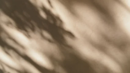 Fototapete Steinwand Shadows of tree branches and leaves fall on a textured beige wall with a crack, abstract nature background, minimalist design, calm atmosphere.  © magic_cinema