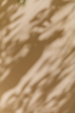 Blurred shadow of tree leaves fall across a light beige wall in bright sunlight. Minimalist botanical pattern, overlay effect, summer holiday relaxation, mediterranean vacation vibe.