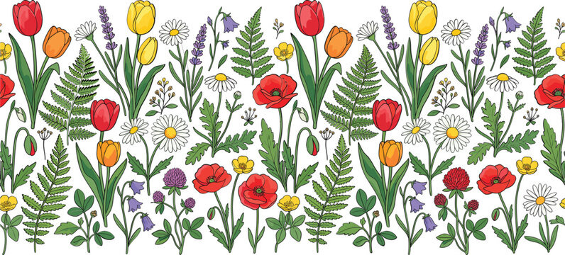 Wildflower meadow seamless border vector, colorful spring floral pattern with poppies and tulips, hand drawn botanical garden illustration