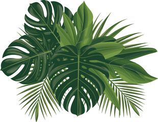 Tropical palm leaves bouquet with green monstera and banana leaf bunch, exotic jungle vector illustration © SANDIP
