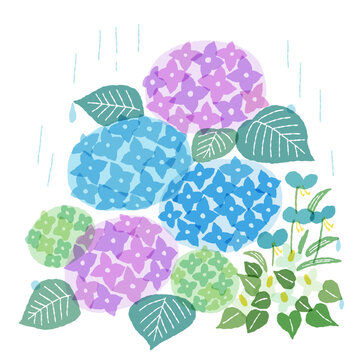 6月の花のクリップイラスト　あじさいとツユクサ、ドクダミの花
