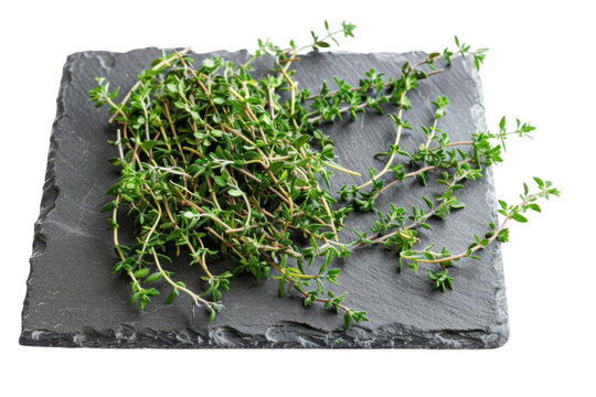 herb starberry leaf podeena coriandal 