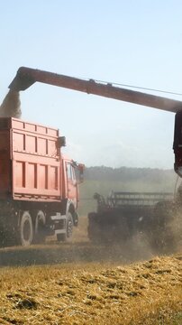 Combine harvester harvesting wheat and unloading threshed grain into a truck driving alongside. Concept of grain harvest, agricultural machinery, food production, and modern farming logistics. Rural
