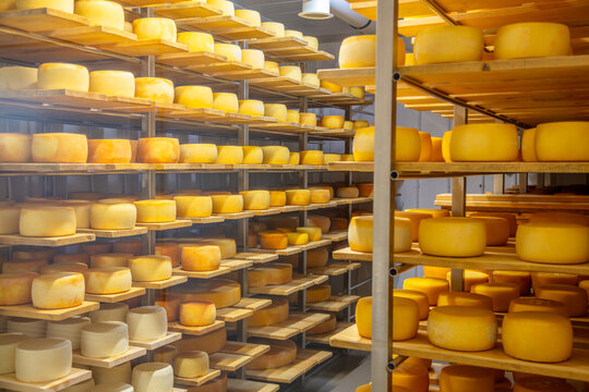 Cheese Heads in the Pantry