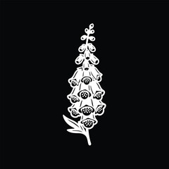 Digitalis flower illustration featuring botanical line art style isolated as a vector element on black background © bubuk_mesiu