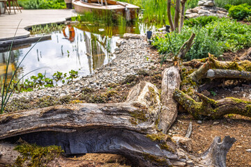 Fototapeta premium Beautiful classical garden fish pond for your backyard or patio