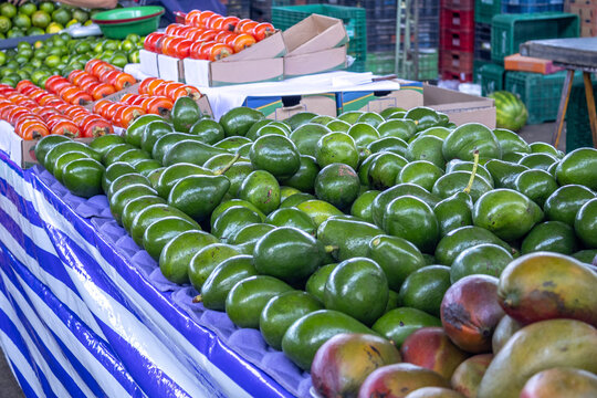 Fresh Organic Produce Display at Outdoor Farmers Market with Avocados, Persimmons, and Mangoes