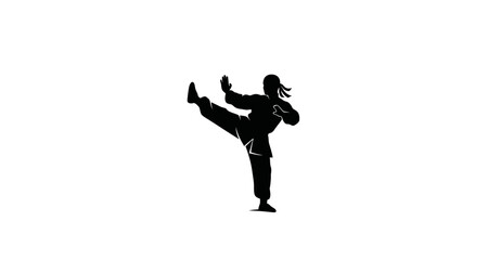 Obraz premium Kung fu fighter silhouette on transparent background