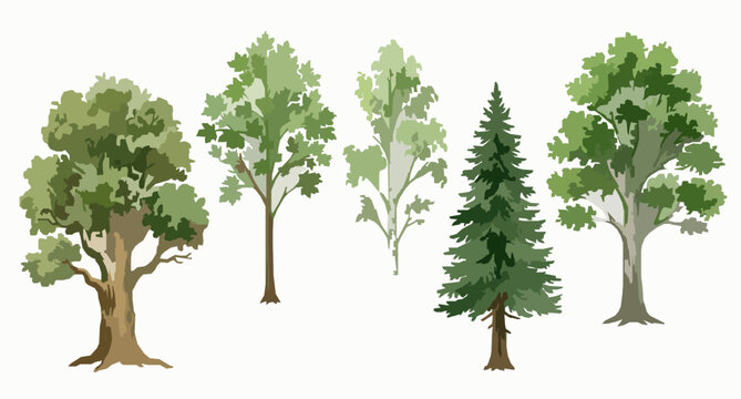 Woodland watercolor tree vector set featuring oak maple and forest trees