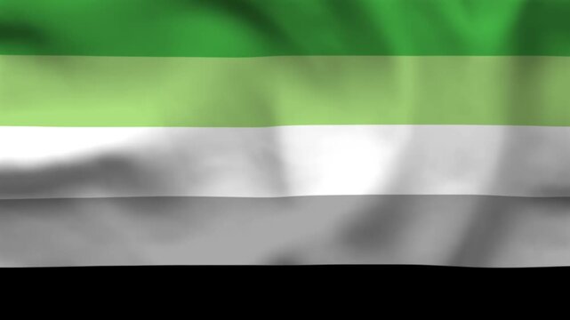 Aromantic Pride Flag Fabric Texture Background