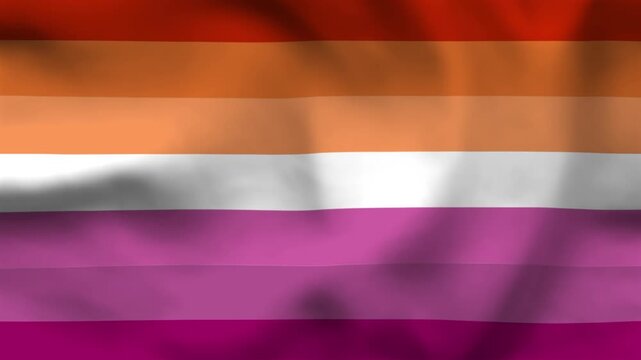 Lesbian Pride Flag 7 Stripe Fabric Texture